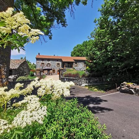 Le Clos Des Pierres Rouges Saint-Privat-d'Allier Luaran gambar